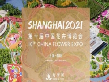 5月，第十届中国花博会将在崇明拉开帷幕